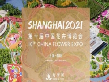 5月，第十届中国花博会将在崇明拉开帷幕